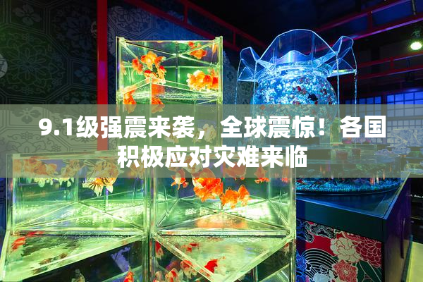 9.1级强震来袭，全球震惊！各国积极应对灾难来临