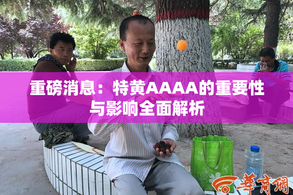 重磅消息：特黄AAAA的重要性与影响全面解析