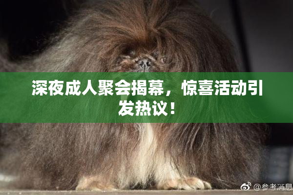 深夜成人聚会揭幕，惊喜活动引发热议！