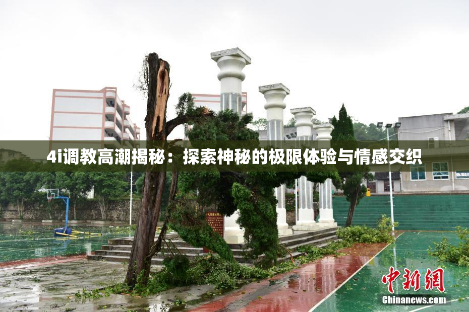 4i调教高潮揭秘：探索神秘的极限体验与情感交织