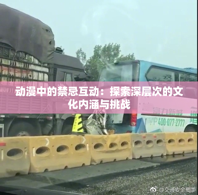 动漫中的禁忌互动：探索深层次的文化内涵与挑战