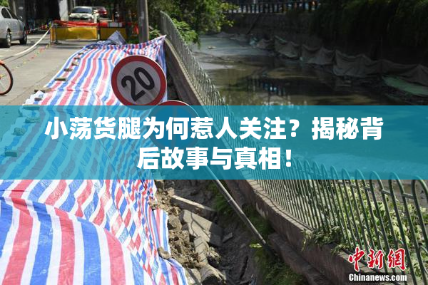 小荡货腿为何惹人关注？揭秘背后故事与真相！