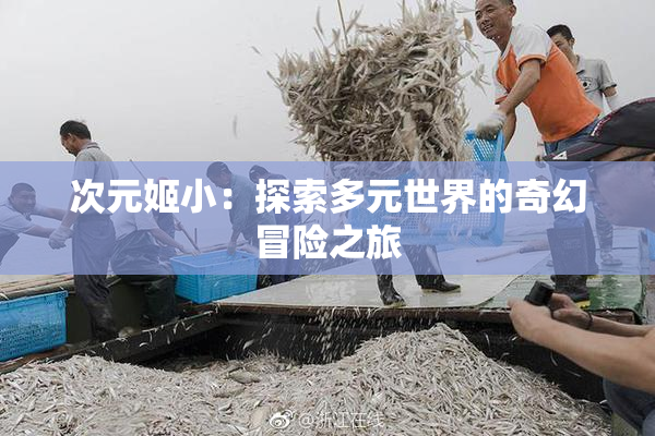 次元姬小：探索多元世界的奇幻冒险之旅