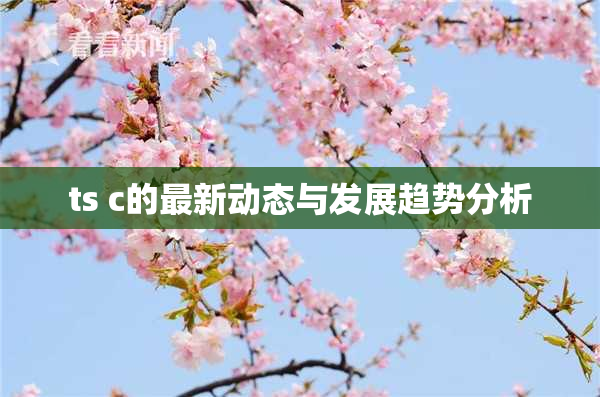 ts c的最新动态与发展趋势分析