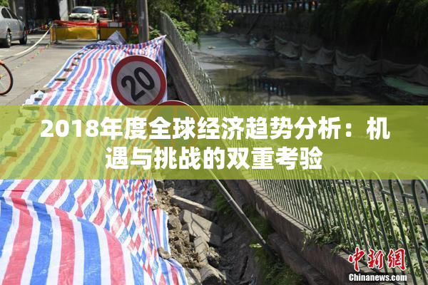2018年度全球经济趋势分析：机遇与挑战的双重考验