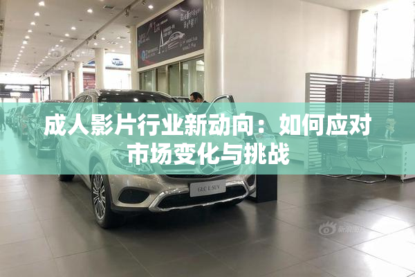 成人影片行业新动向：如何应对市场变化与挑战