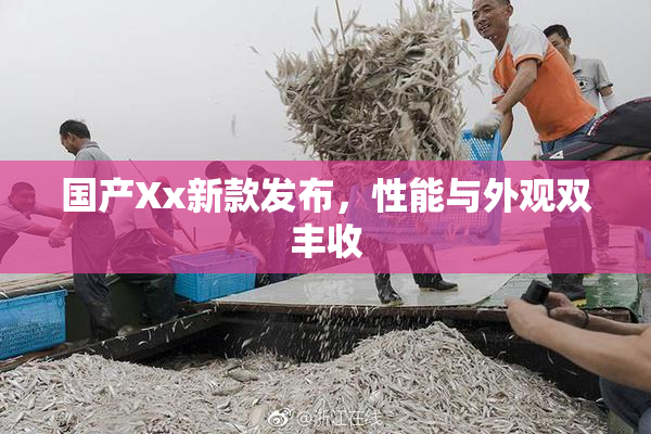 国产Xx新款发布，性能与外观双丰收