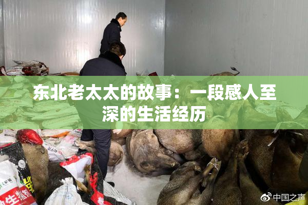东北老太太的故事：一段感人至深的生活经历