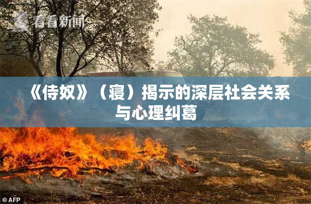 《侍奴》（寝）揭示的深层社会关系与心理纠葛