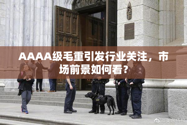 AAAA级毛重引发行业关注，市场前景如何看？