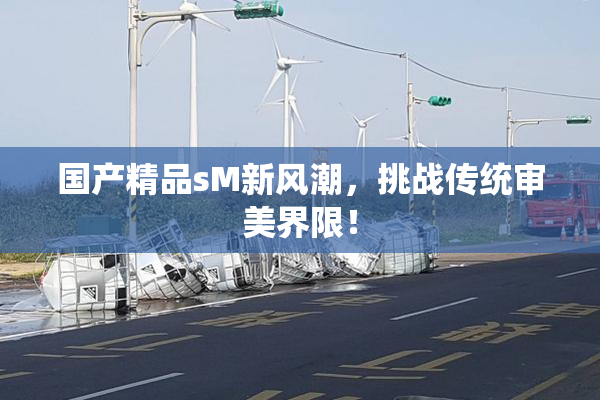 国产精品sM新风潮，挑战传统审美界限！