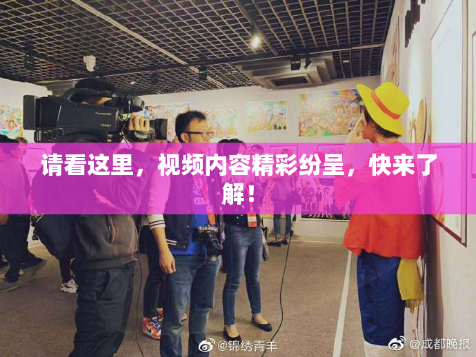 请看这里，视频内容精彩纷呈，快来了解！