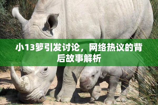 小13箩引发讨论，网络热议的背后故事解析