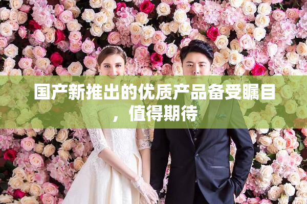 国产新推出的优质产品备受瞩目，值得期待
