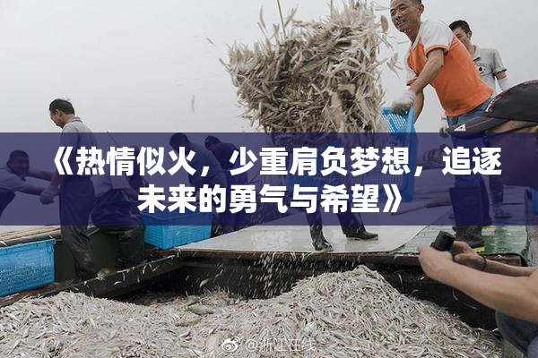 《热情似火，少重肩负梦想，追逐未来的勇气与希望》