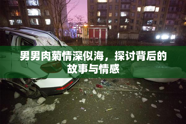 男男肉菊情深似海，探讨背后的故事与情感