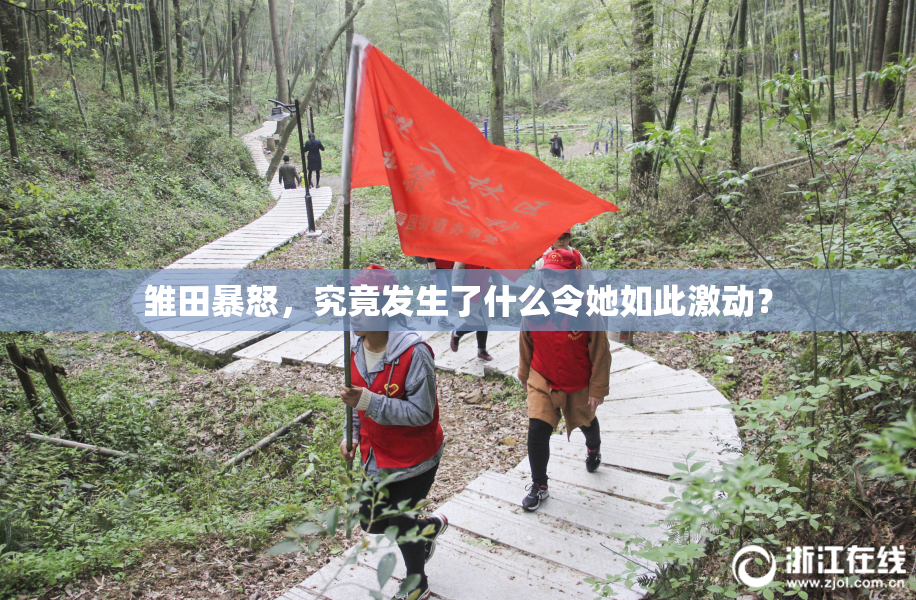 雏田暴怒，究竟发生了什么令她如此激动？