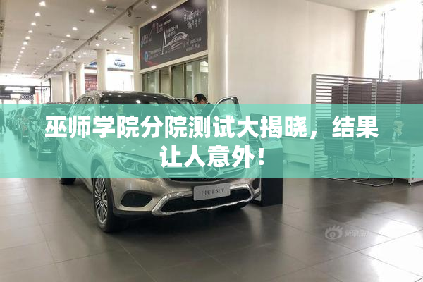 巫师学院分院测试大揭晓，结果让人意外！