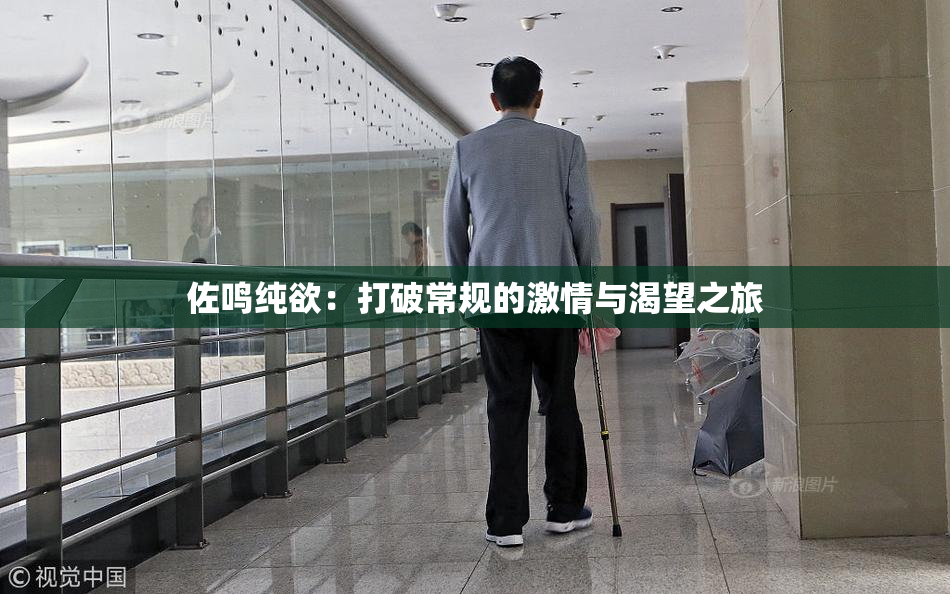 佐鸣纯欲：打破常规的激情与渴望之旅