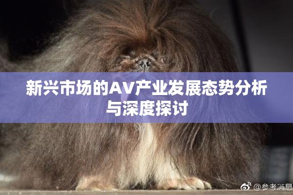 新兴市场的AV产业发展态势分析与深度探讨