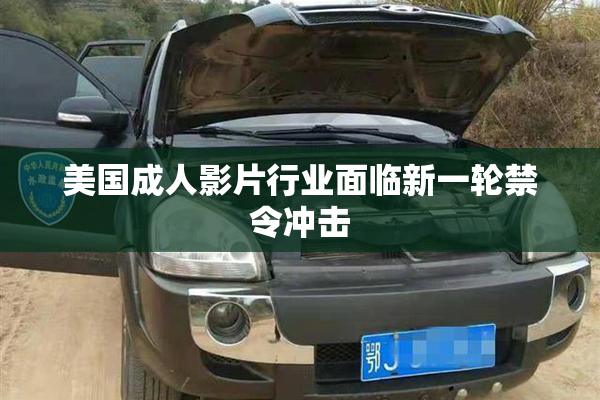 美国成人影片行业面临新一轮禁令冲击