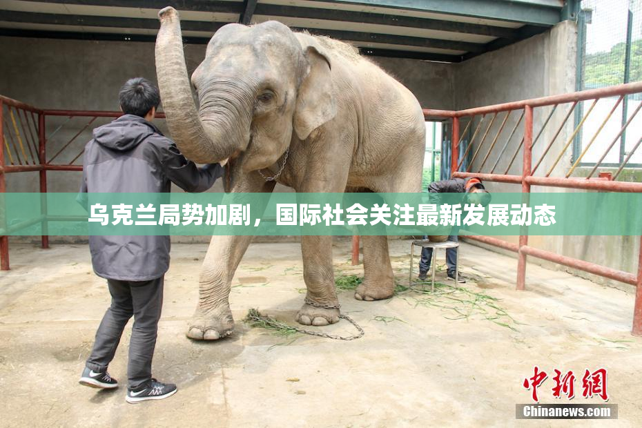 乌克兰局势加剧，国际社会关注最新发展动态