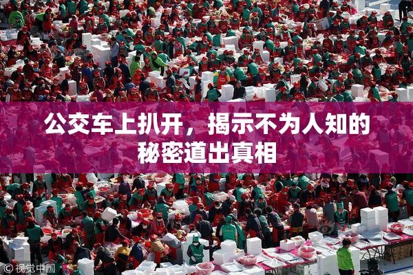 公交车上扒开，揭示不为人知的秘密道出真相