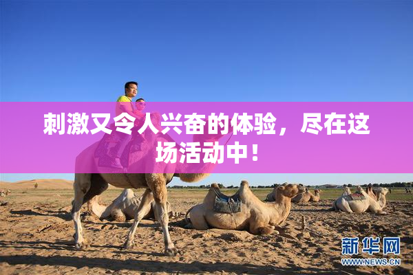 刺激又令人兴奋的体验，尽在这场活动中！