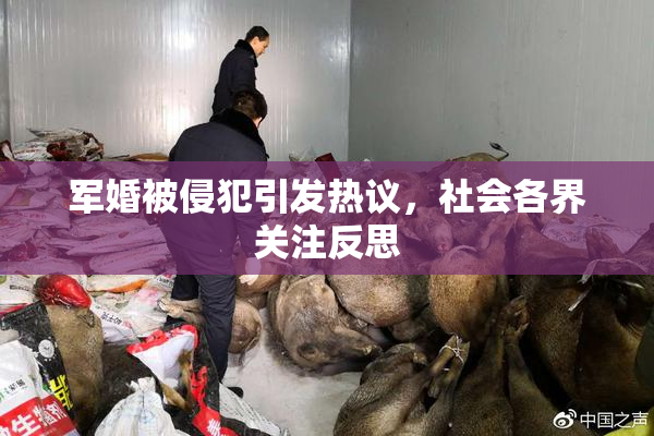 军婚被侵犯引发热议，社会各界关注反思