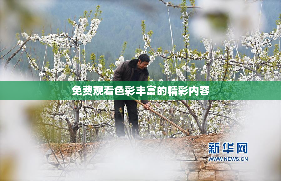 免费观看色彩丰富的精彩内容
