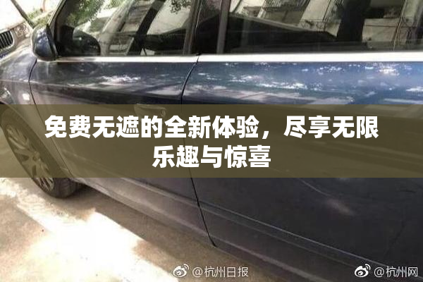 免费无遮的全新体验，尽享无限乐趣与惊喜