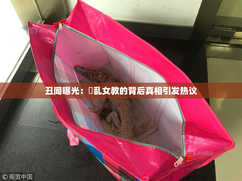 丑闻曝光：婬乱女教的背后真相引发热议