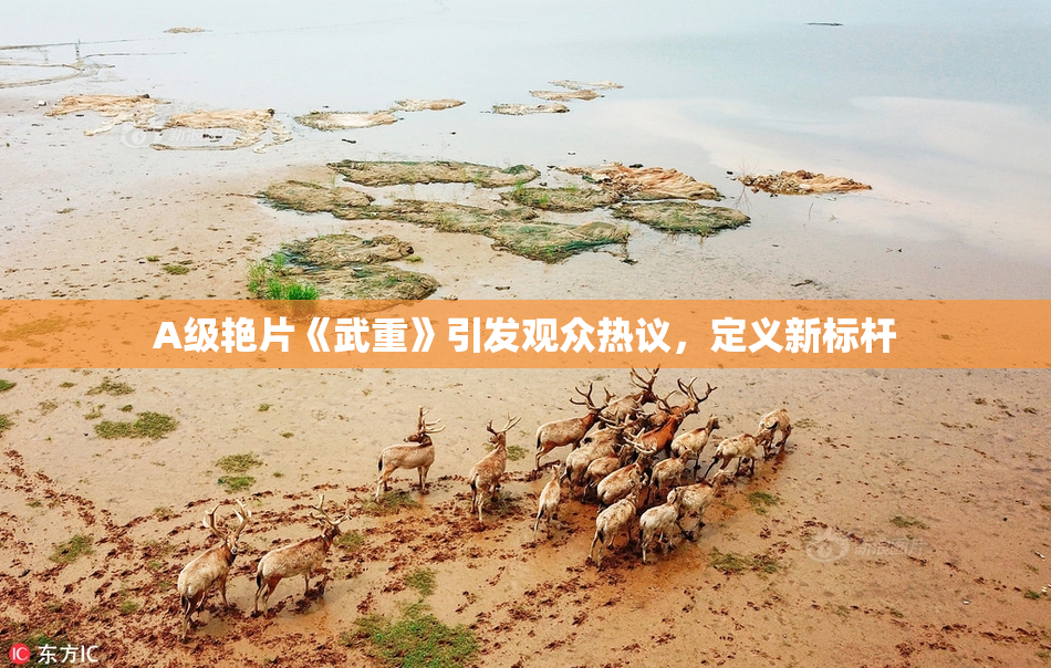 A级艳片《武重》引发观众热议，定义新标杆
