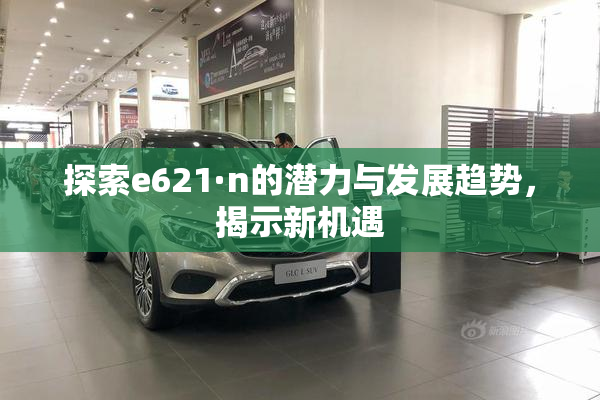 探索e621·n的潜力与发展趋势，揭示新机遇