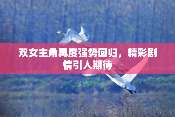 双女主角再度强势回归，精彩剧情引人期待