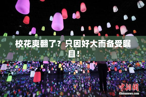 校花爽翻了？只因好大而备受瞩目！