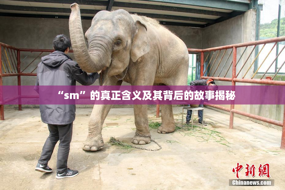 “sm”的真正含义及其背后的故事揭秘