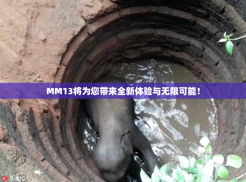 MM13将为您带来全新体验与无限可能！