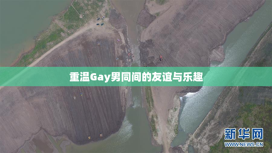 重温Gay男同间的友谊与乐趣