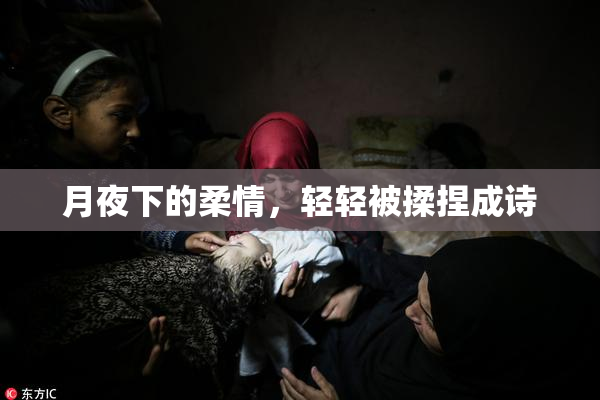 月夜下的柔情，轻轻被揉捏成诗