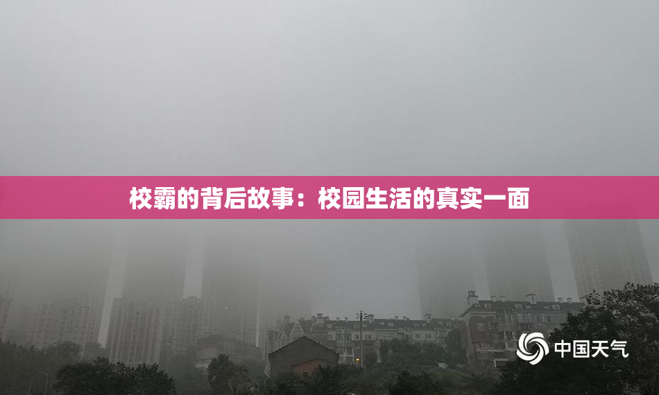 校霸的背后故事：校园生活的真实一面
