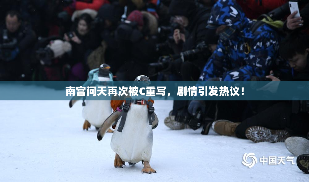 南宫问天再次被C重写，剧情引发热议！