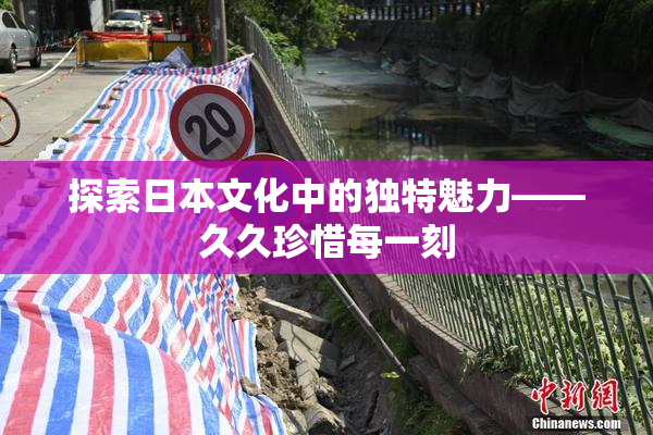 探索日本文化中的独特魅力——久久珍惜每一刻