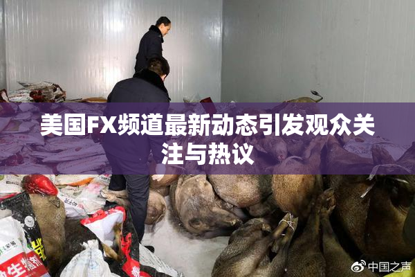 美国FX频道最新动态引发观众关注与热议