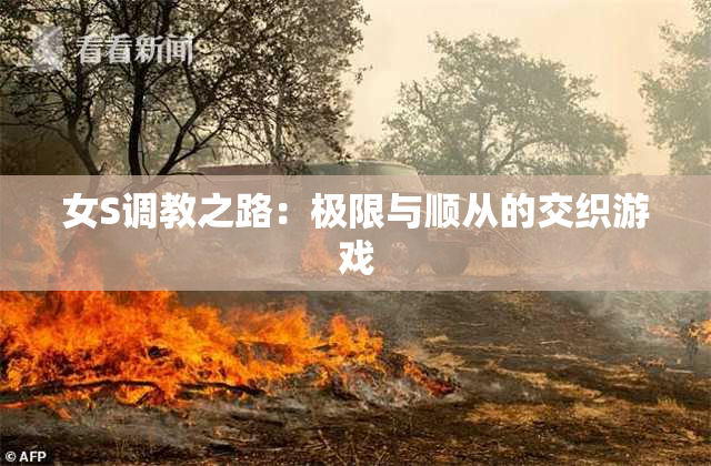 女S调教之路：极限与顺从的交织游戏