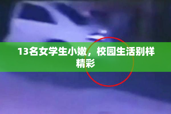 13名女学生小嫩，校园生活别样精彩