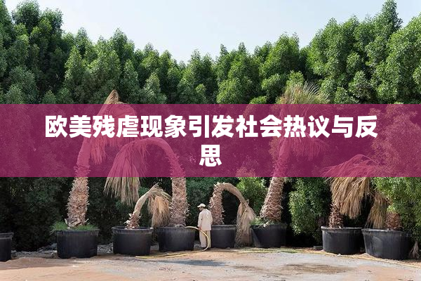 欧美残虐现象引发社会热议与反思
