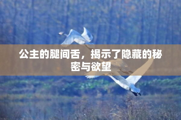 公主的腿间舌，揭示了隐藏的秘密与欲望