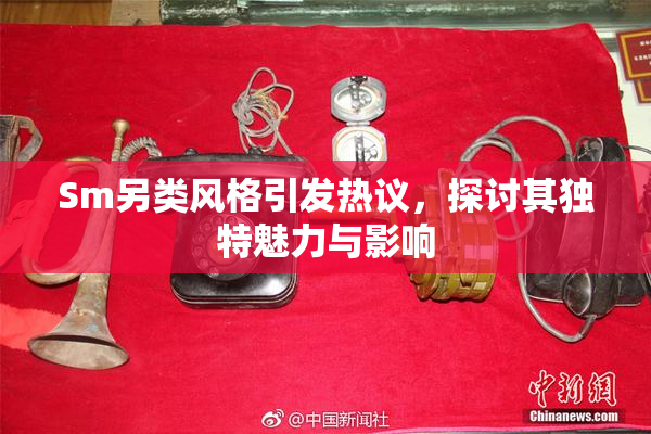 Sm另类风格引发热议，探讨其独特魅力与影响