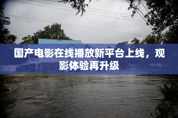 国产电影在线播放新平台上线，观影体验再升级